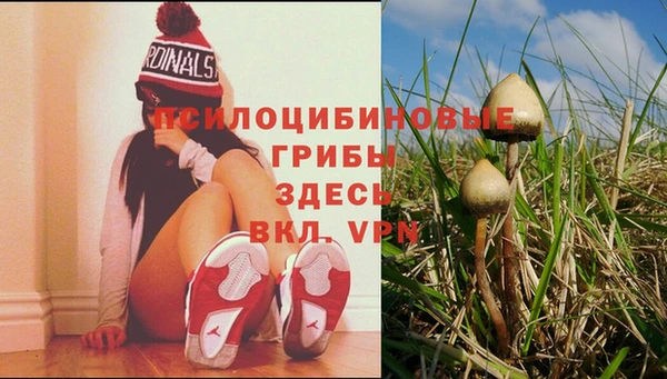 кокаин VHQ Горнозаводск