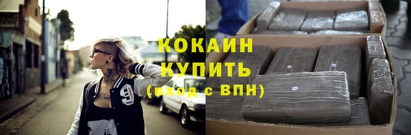 амф Горняк