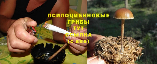 амф Горняк