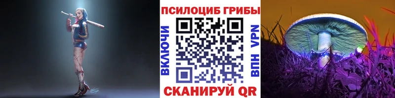 купить закладку  Невьянск  Псилоцибиновые грибы Cubensis 